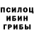 Галлюциногенные грибы Cubensis Ol Baik