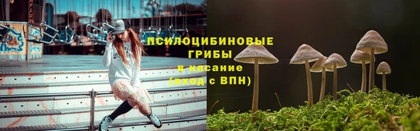 СК Алексин