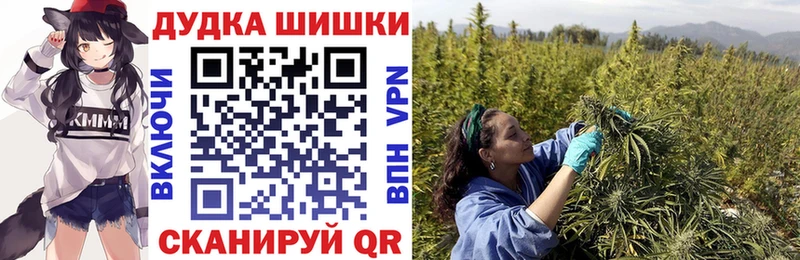 где купить наркоту  Новая Ляля  Бошки марихуана план 